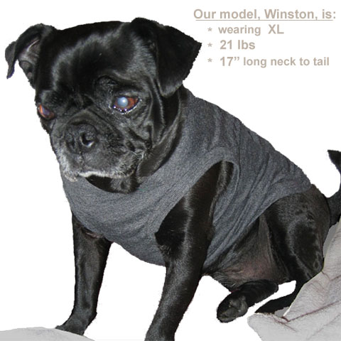 Pug T-shirt