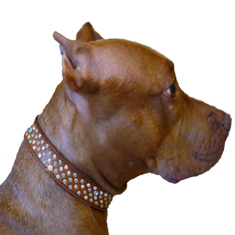 Opal (genuine leather) Duo