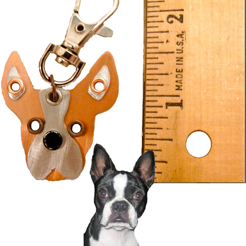 Boston Terrier 1
