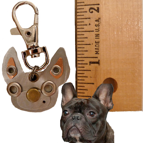 Boston Terrier 2