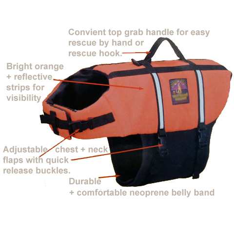 Life Jacket