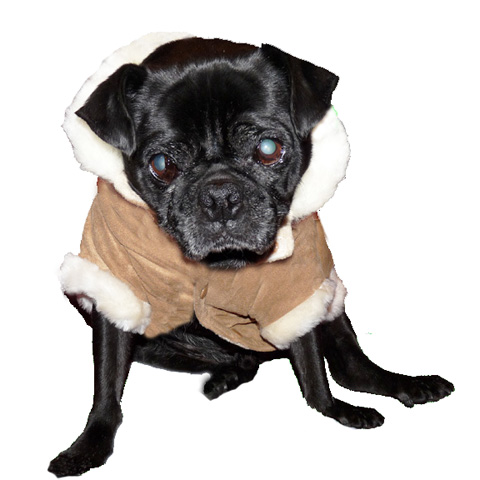 Camel Winter Coat