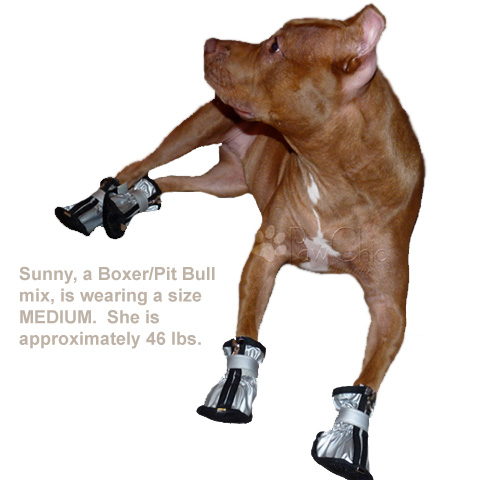 Rain Boots