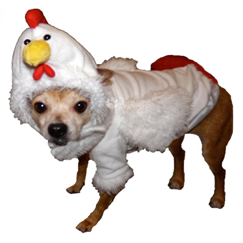 Chicken