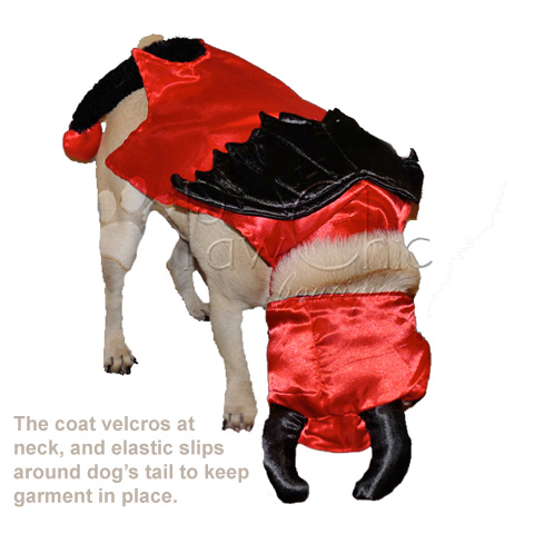 Devil Dog
