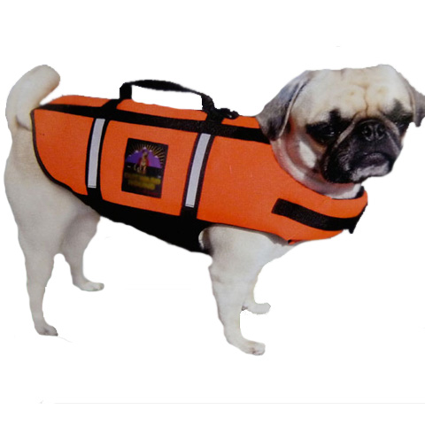 Life Jacket