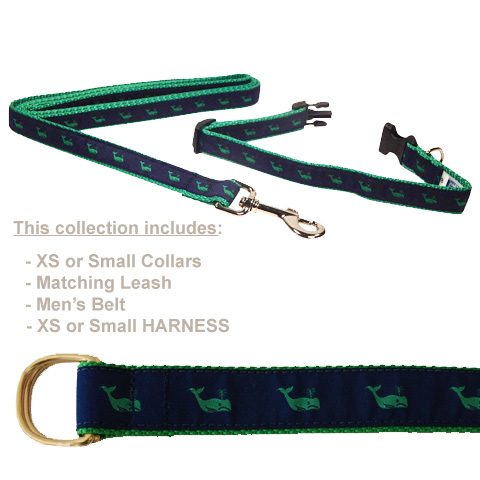 Blue Whale Collar