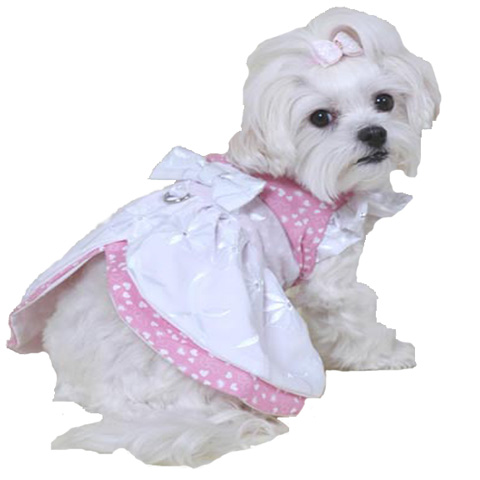 1950 Apron - Exclusively Ours!