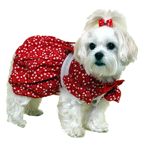 Sweetheart - Exclusively Ours!