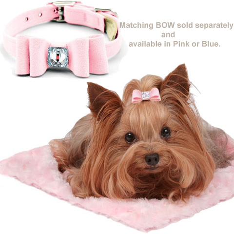 Tiffany Bow Collar