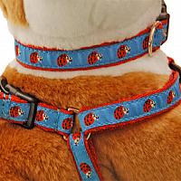 Ladybug (Exclusively Ours!)