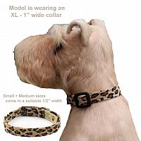 Cheetah Collar